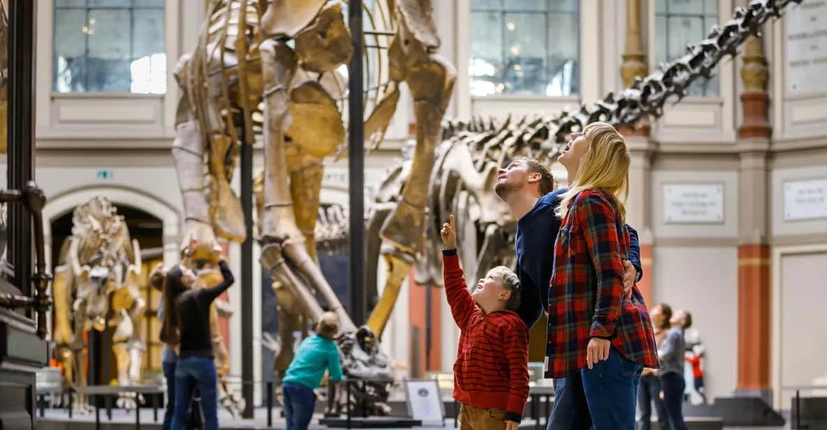 The Brachiosaurus skeleton in the Natural History Museum, a family museum in Berlin, Germany