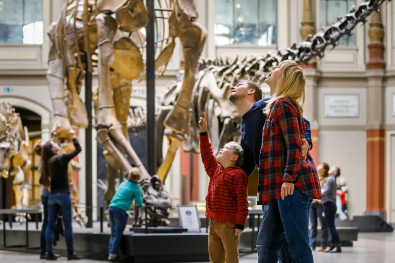 The mounted Giraffatitan dinosaur skeleton in the Natural History Museum, one of the best museums in Berlin for families, Germany